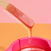 large microwave stripless hot wax kit (300g)